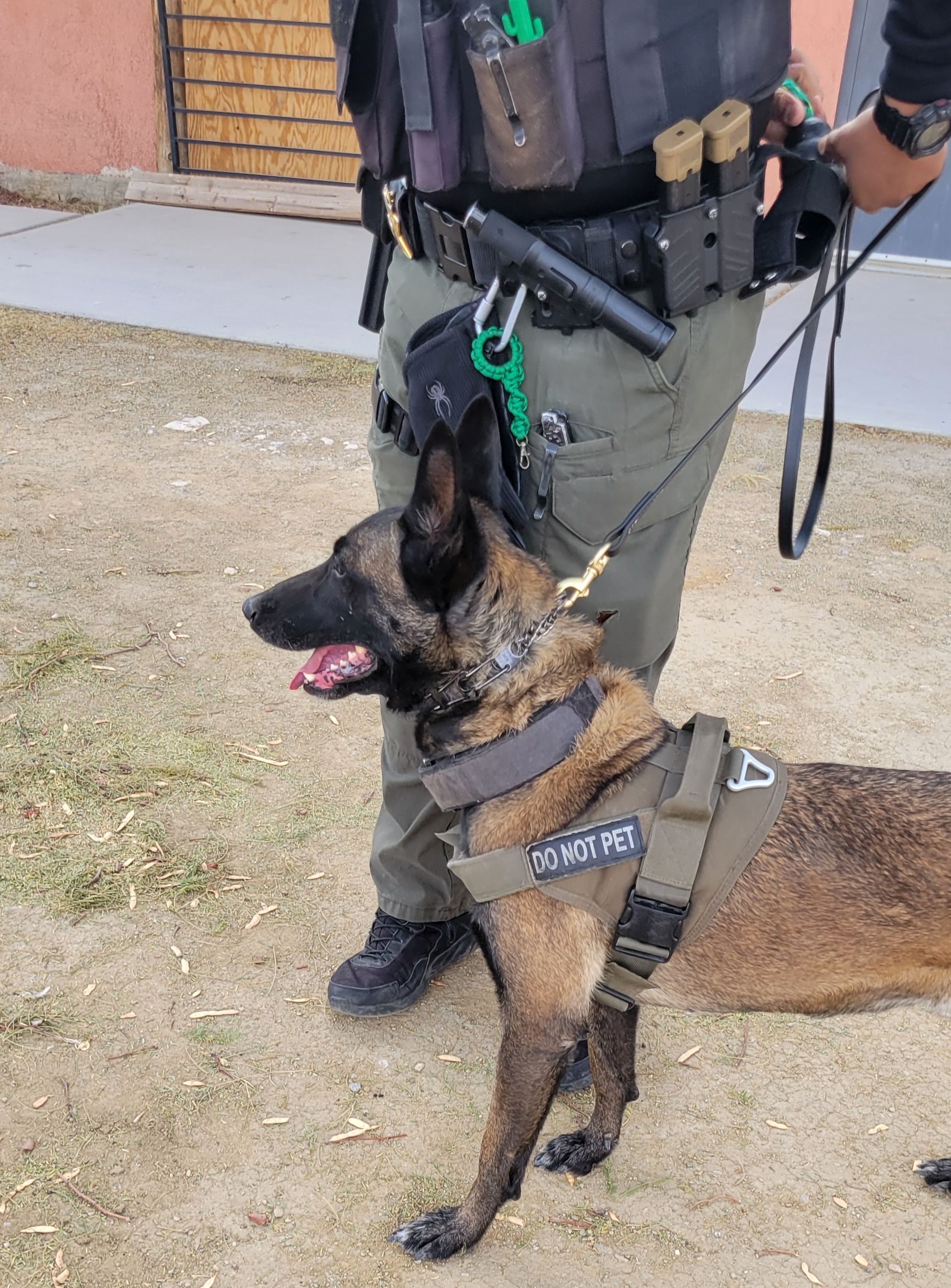 K9 training scenario 4