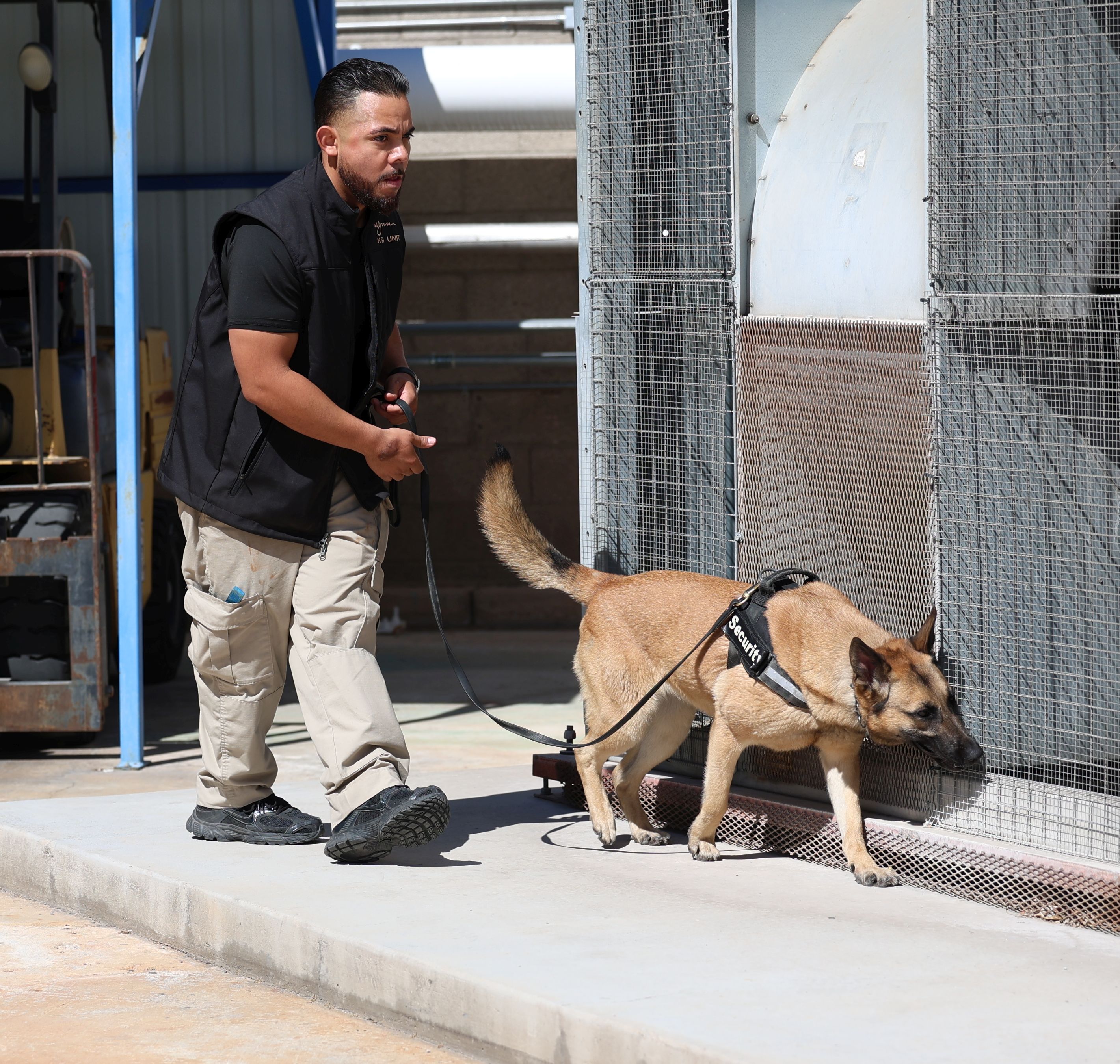 K9 training scenario 6